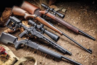 22 LR Rifles: What You Need To Know Before Buying One