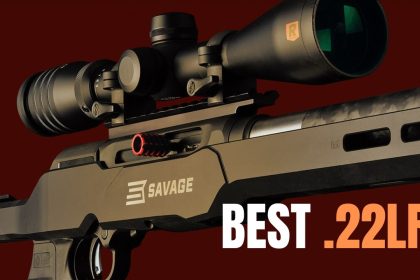 TOP 5 Best .22LR Rifles: The Most Accurate .22 Rifles 2024