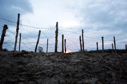 Why the 1914 Christmas Truce changed nothing on the Western Front