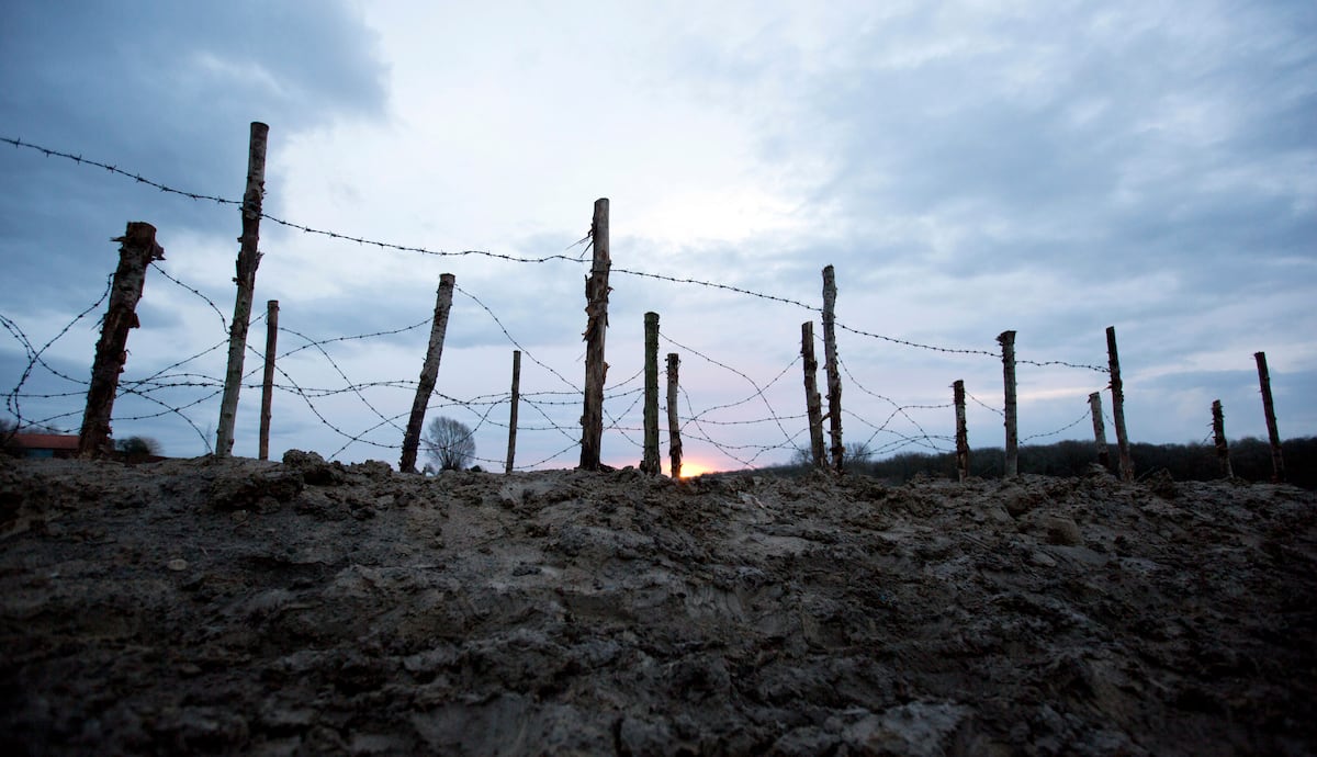 Why the 1914 Christmas Truce changed nothing on the Western Front