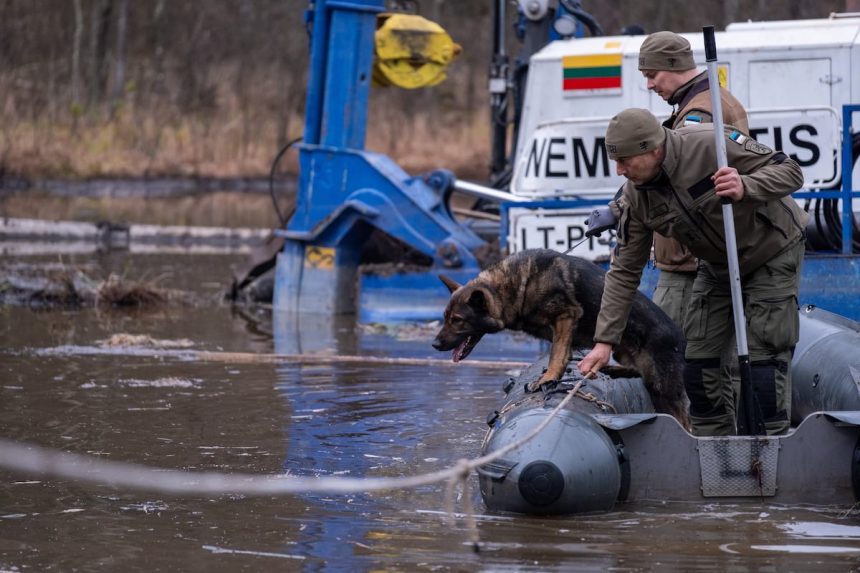 Fourth missing US soldier found deceased in Lithuanian bog