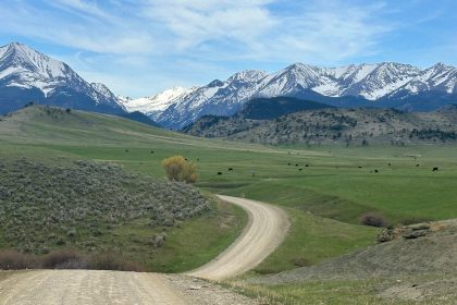 Guard helo trespassed on Montana ranch to take deer antlers: citation