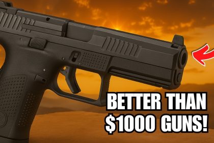 4 UNDER 0 Guns That BETTER Than 00 Guns!