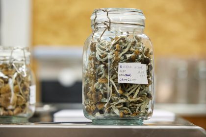 Troops will be drug tested for psychedelic mushroom use, Pentagon says