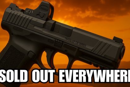 Sold Out Everywhere: The Guns Americans Are Rushing to Buy