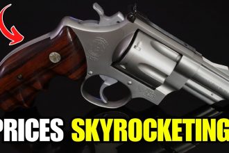 7 Revolvers That Will Become Super Expensive Soon (Don’t Miss These!) 7 Revolvers That Will Become Super Expensive Soon (Don’t Miss These!)