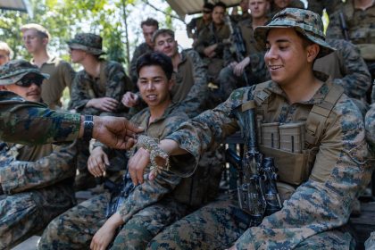 why troops keep naming things after reptiles