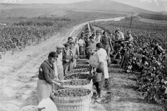 How wine and champagne helped to defeat the Nazis