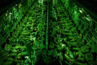 Army readies 1,500 soldiers for possible Minnesota deployment: sources