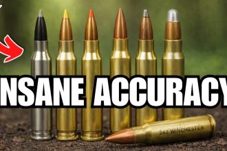 2026’s Most Precise Hunting Calibers Ranked by Real Accuracy