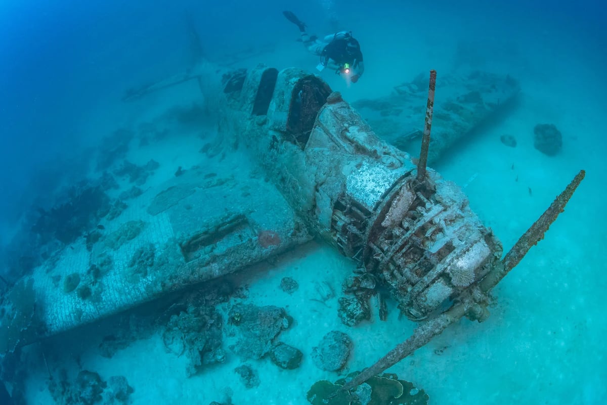 Efforts underway to preserve first WWII Devastator torpedo bomber