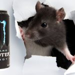 Sailor reportedly finds dead rat in finished energy drink