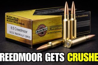 7 Cartridges That SMOKE the 6.5 Creedmoor!