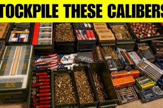 Top 7 Calibers You MUST Stockpile Before 2027 – Don’t Miss Out!