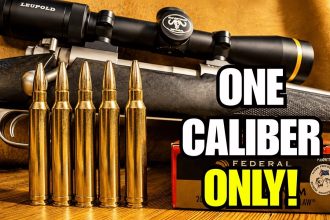 7 Hunting Calibers That Make Sense If You Only Own One Rifle