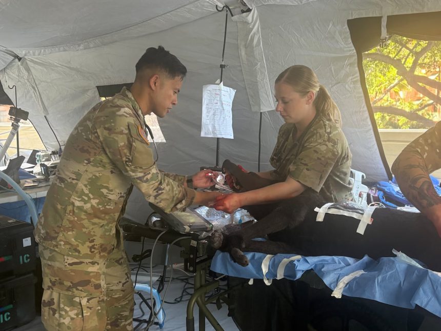US Army integrates veterinarians into human combat care