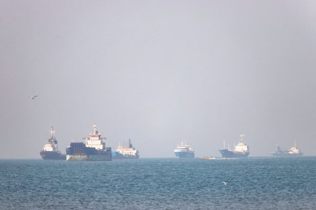 US military accompanies commercial carrier through Strait of Hormuz