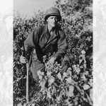 Bravery in Burma: Despite being rendered blind by the Japanese, this soldier fought on