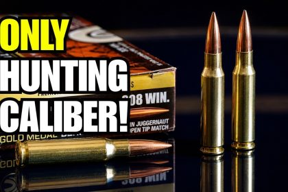Why The .308 Winchester Is The Strongest “One Hunting Caliber” Pick