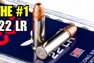 9 Best .22 LR Ammo for Defense, Hunting, and Reliability In 2026