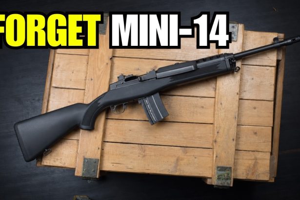 Everyone’s Buying Mini-14s in 2026… I made THIS Instead