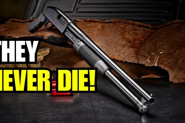 6 Guns So Cheap They’re Embarrassing… Until You Find Out Why They Never Die