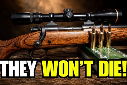 7 Forgotten Hunting Calibers That Refuse to Die