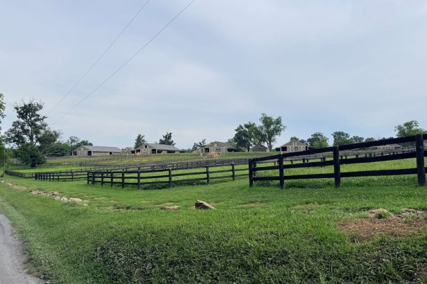 Army buys Virginia facility to stable The Old Guard’s caisson horses