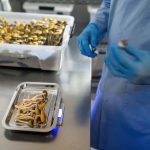 Major VA study to examine effectiveness of psilocybin on depression, PTSD