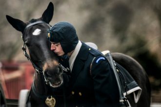 The Army certifies its first equestrians as it revamps horse care