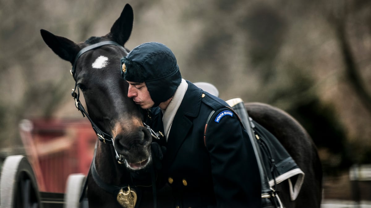 The Army certifies its first equestrians as it revamps horse care