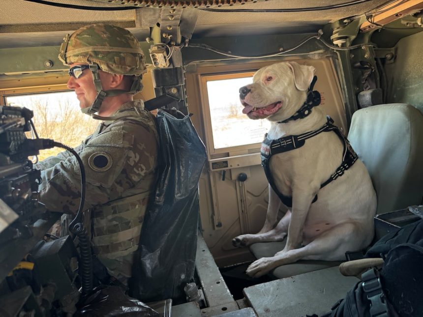 Meet Axel, the deaf rescue dog now set to deploy