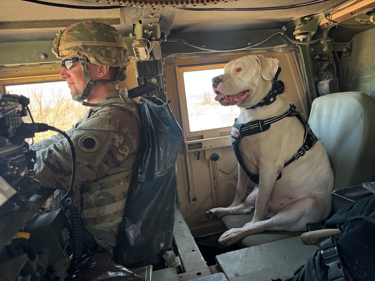 Meet Axel, the deaf rescue dog now set to deploy